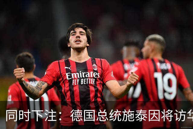 同时下注：德国总统施泰因将访华，几乎同时总理默茨将访问日本