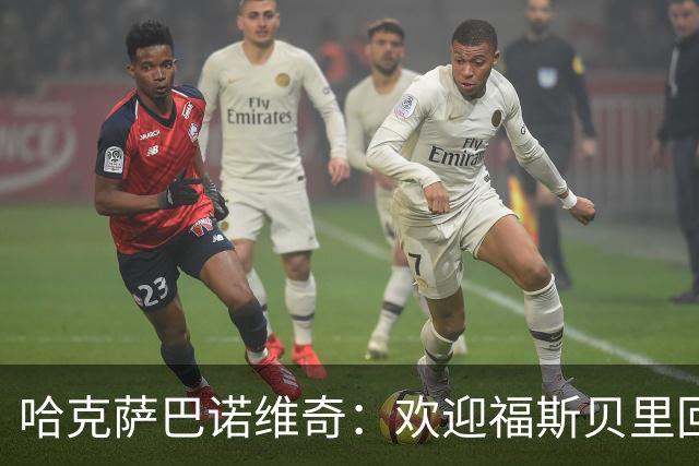 哈克萨巴诺维奇：欢迎福斯贝里回归，他能让马尔默升级
