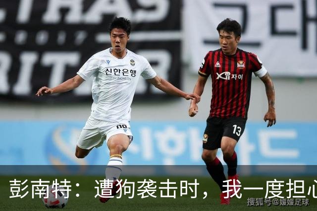 彭南特：遭狗袭击时，我一度担心会截肢
