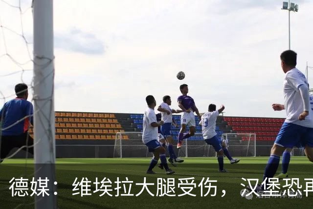 德媒：维埃拉大腿受伤，汉堡恐再失一名核心球员
