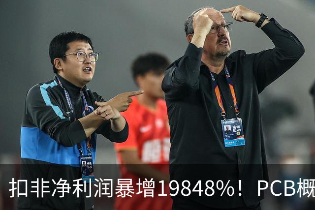 扣非净利润暴增19848%！PCB概念股，前十大股东新增神秘自然人