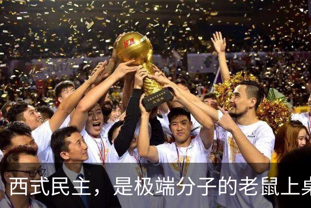 西式民主，是极端分子的老鼠上桌