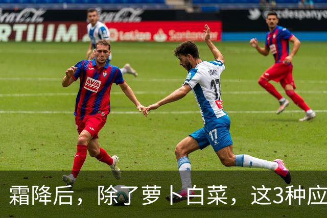 霜降后，除了萝卜白菜，这3种应季蔬菜要多吃，鲜嫩营养，润燥养人，好吃还不贵！