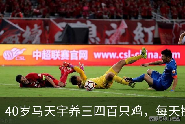 40岁马天宇养三四百只鸡，每天捡100多枚蛋，自曝钱够花便无所谓，是活明白了还是提前认输